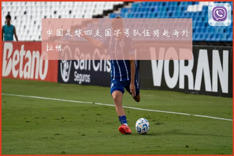 中国足球四支国字号队伍将赴海外拉练
