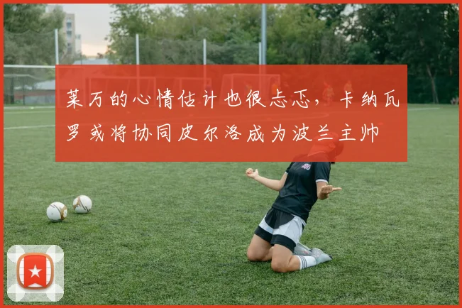 莱万的心情估计也很忐忑，卡纳瓦罗或将协同皮尔洛成为波兰主帅