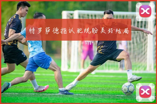 特罗萨德指认犯规盼美好结局