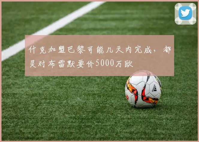 什克加盟巴黎可能几天内完成，都灵对布雷默要价5000万欧