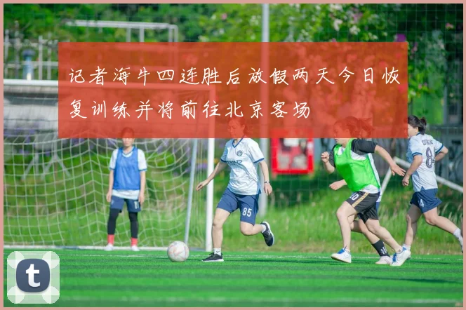 记者海牛四连胜后放假两天今日恢复训练并将前往北京客场